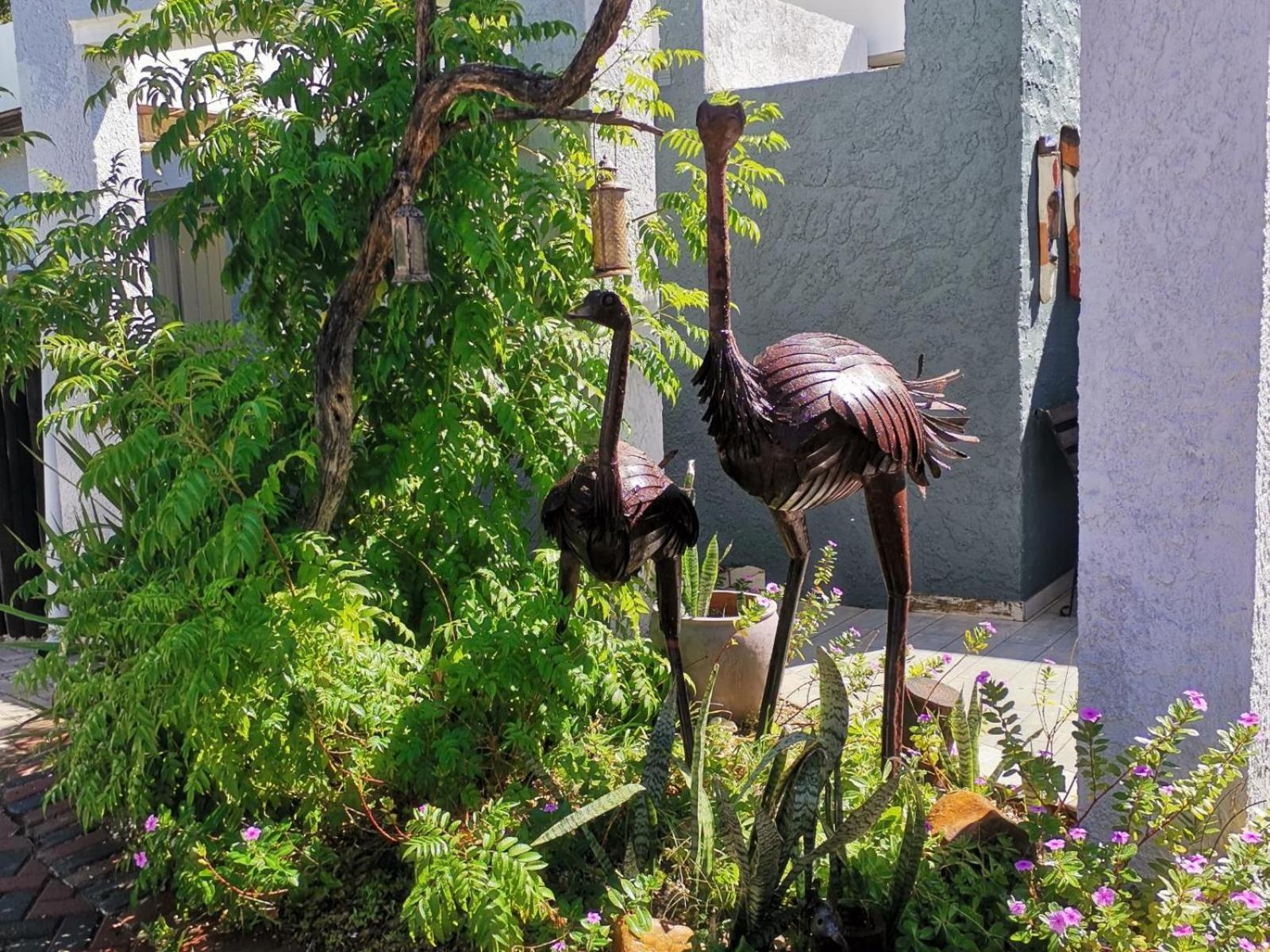 Guesthouse Terra Africa Windhoek Exterior photo